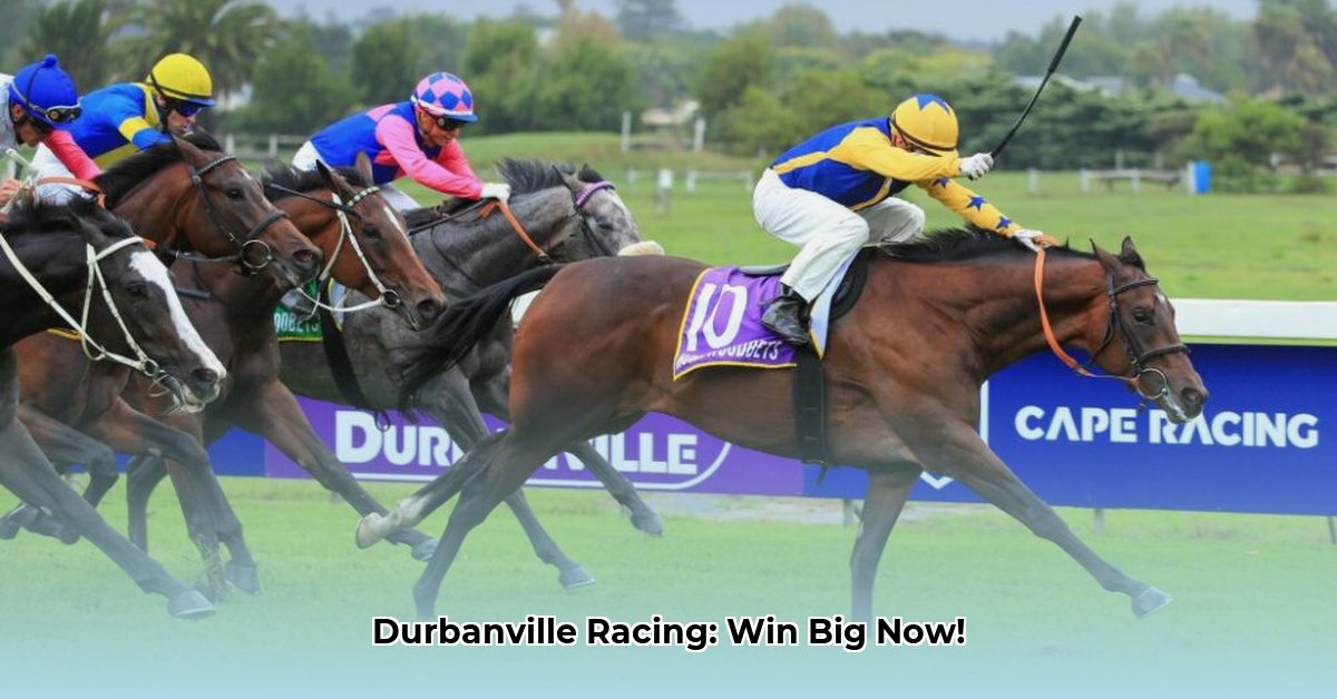 durbanville-horse-racing-tips
